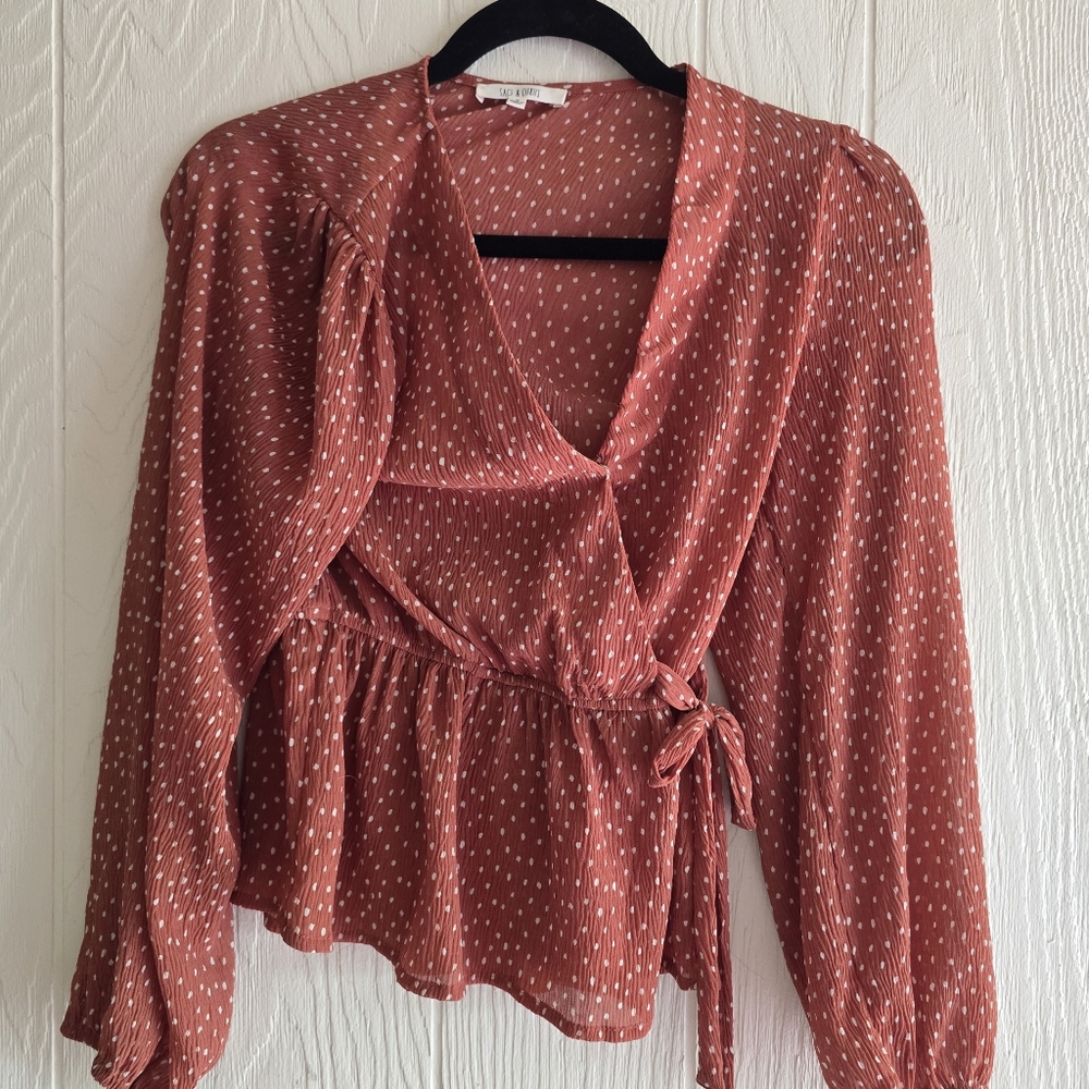 Sage & Citrus Sheer Blouse Sz S